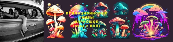 PSILOCYBIN Алзамай