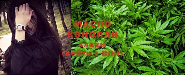PSILOCYBIN Алзамай