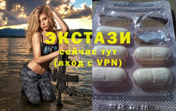 винт Дмитриев