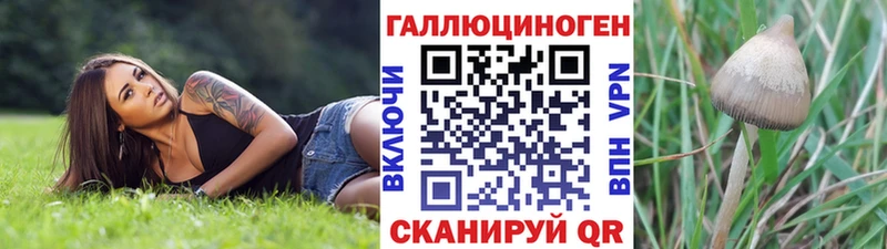 Галлюциногенные грибы прущие грибы  blacksprut ТОР  Удомля 
